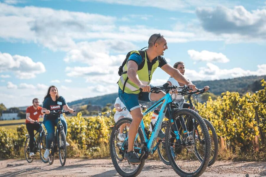 Dijon: Bike tour and Tastings in the Vineyards of Burgundy - Riding through the Côte de Nuits