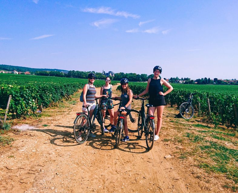 Dijon: Half-Day Guided Gourmet Bike Tour - Key points to know before booking