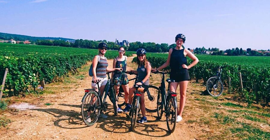 Dijon: Half-Day Guided Gourmet Bike Tour - Why this bike ride is a good break from Dijon