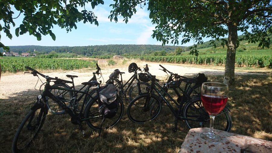 Dijon: Half-Day Guided Gourmet Bike Tour - Riding through Marsannay-la-Côte and the first vineyards