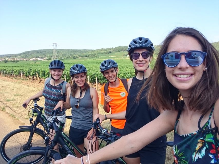 Dijon: Half-Day Guided Gourmet Bike Tour - Starting at Clos du Roy Park in Chenôve