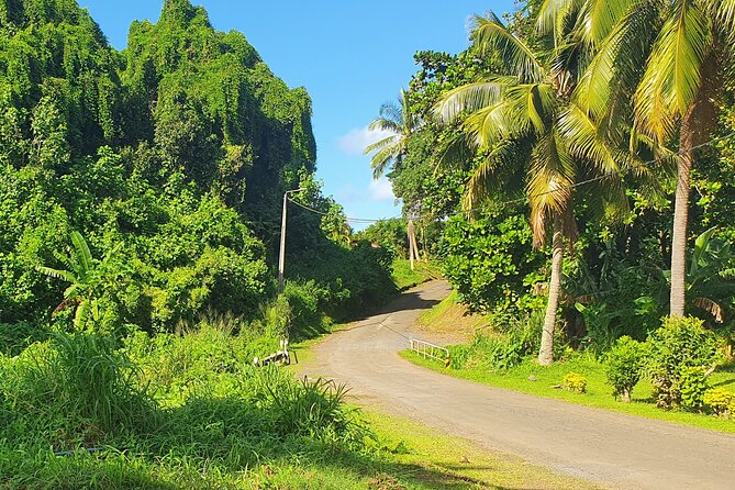 'Discover' Rarotonga Cycling Tour with Lunch - How much value does the $76.95 price offer?