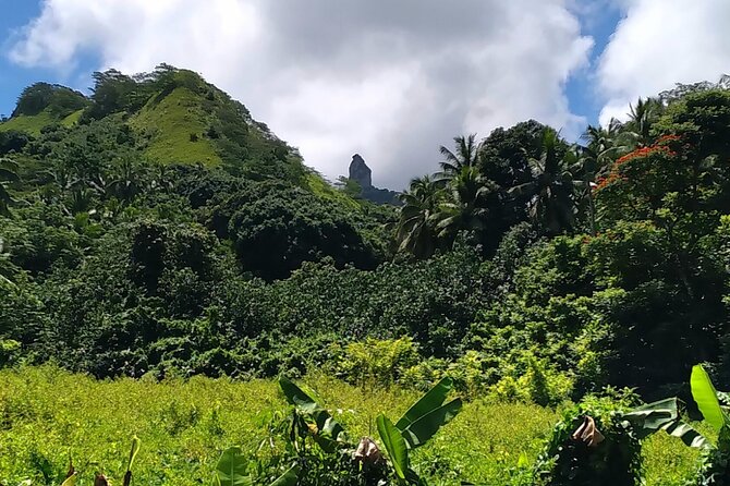 'Discover' Rarotonga Cycling Tour with Lunch - Weather, fitness, and other practical points