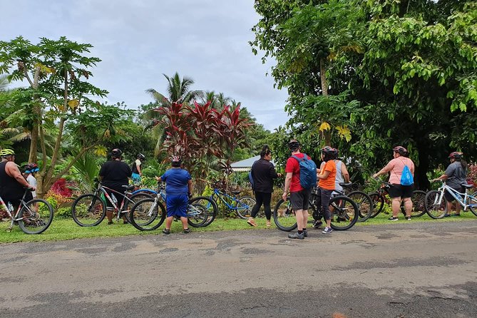 'Discover' Rarotonga Cycling Tour with Lunch - Who will enjoy this ride most?