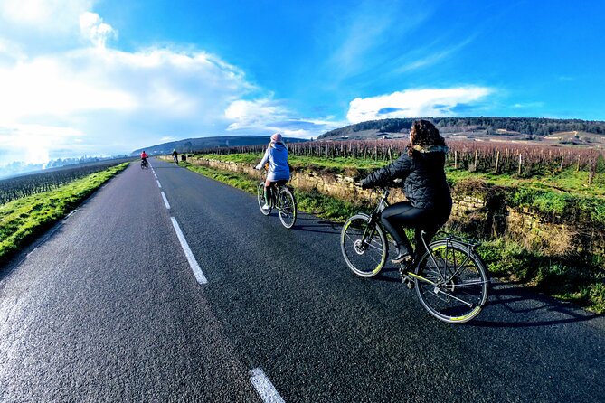 Discovery by bike & Tasting in the vineyards - Marsannay-la-Côte and the first vineyard views