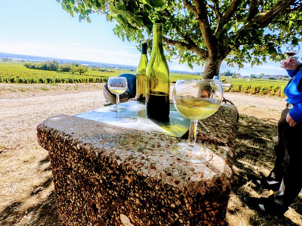Discovery by bike & Tasting in the vineyards - Is $77.89 a fair price?