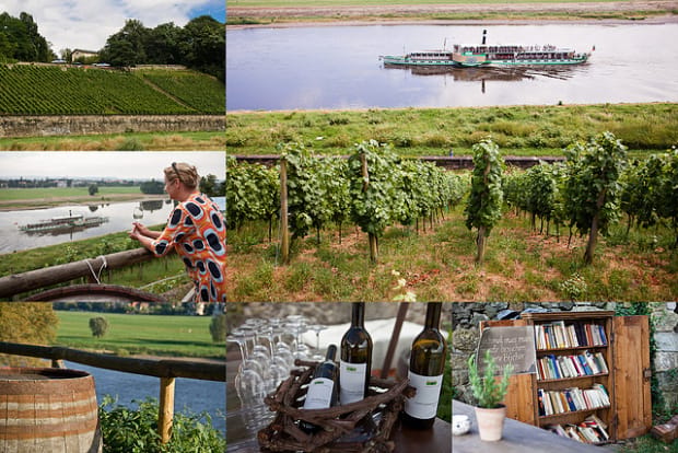 Dresden Bike Tour with Wine Tasting - Key points to know before booking