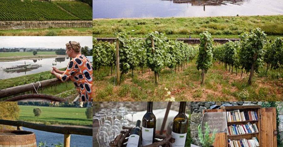 Dresden Bike Tour with Wine Tasting - Albrechtsberg Palace and the castle parks