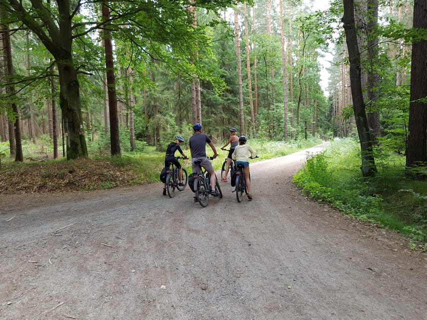 Dresden: E-Bike Tour and Dresden Heath Forest Trails - Down to the Elbe Valley and Back to Neustadt