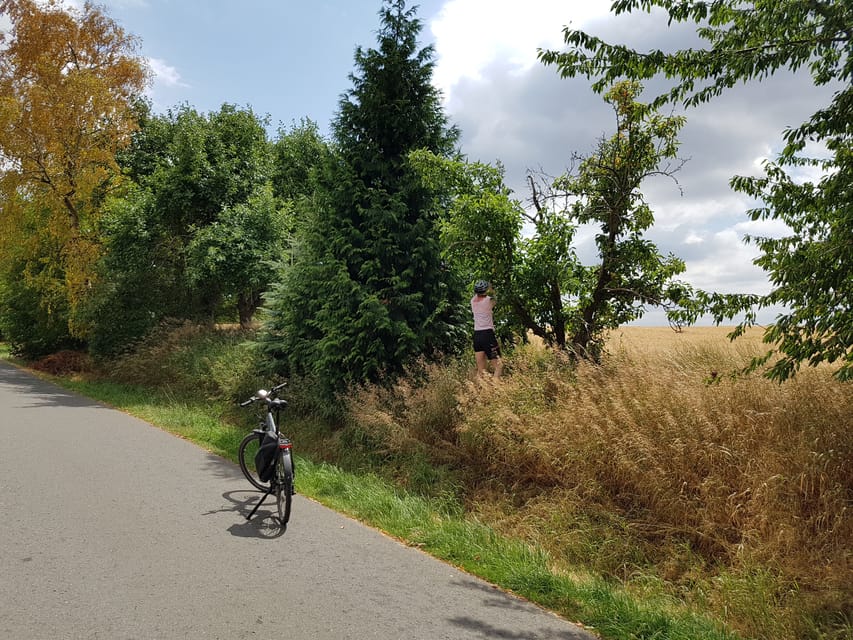 Dresden: E-Bike Tour and Dresden Heath Forest Trails - What the $62 Price Gets You