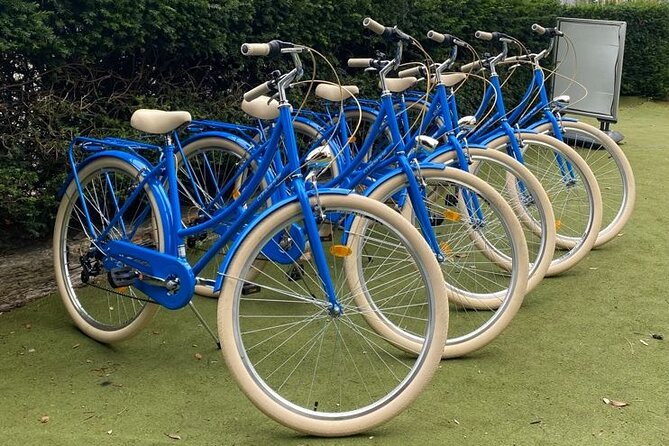 Dublin Full Day Bike Rental - Why Phoenix Park works so well by bike