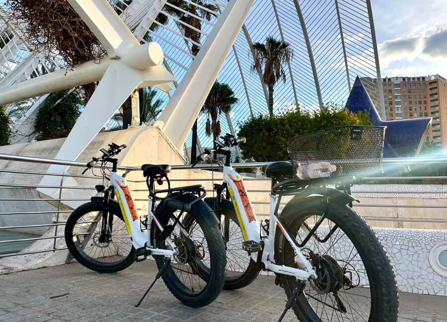 Dutch-Style Bike Tour in Valencia - Who will enjoy this ride most?