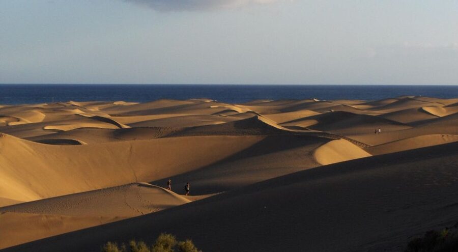 E-Bike City Tour included Camel Tour inside Maspalomas Dunes - Key points at a glance