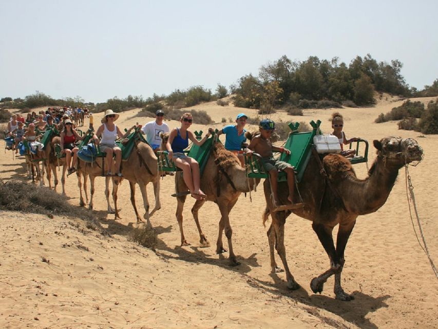 E-Bike City Tour included Camel Tour inside Maspalomas Dunes - Booking, cancellations, and timing