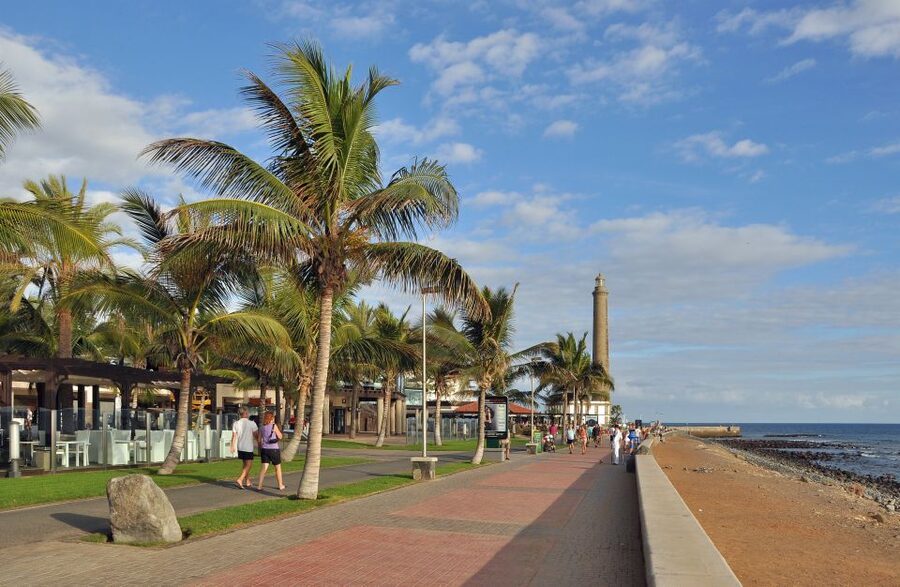 E-Bike City Tour included Camel Tour inside Maspalomas Dunes - Thirty minutes on a camel through the dunes