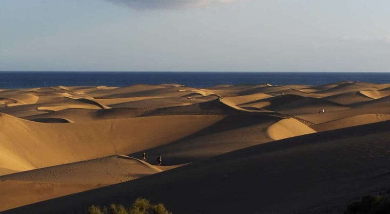 E-Bike CitySightseeing: Maspalomas, Playa Ingles, Meloneras - Birdwatching around Maspalomas Oasis