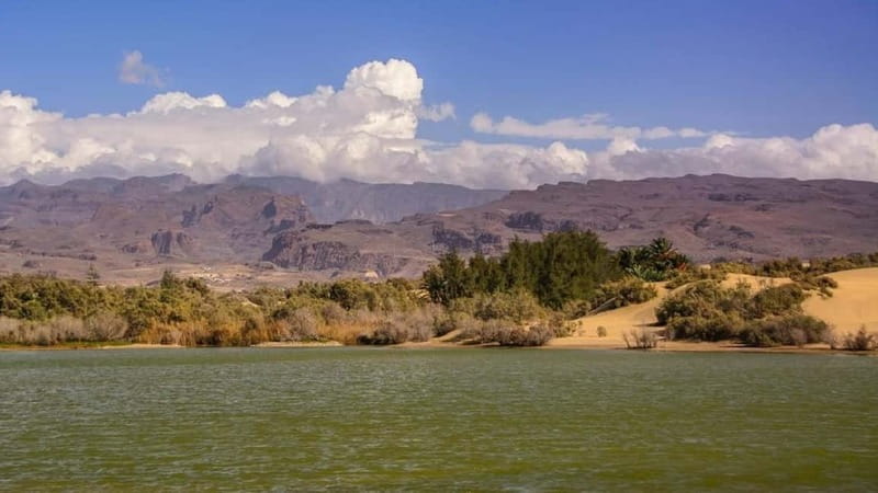 E-Bike CitySightseeing: Maspalomas, Playa Ingles, Meloneras - How much value do you get for $93?