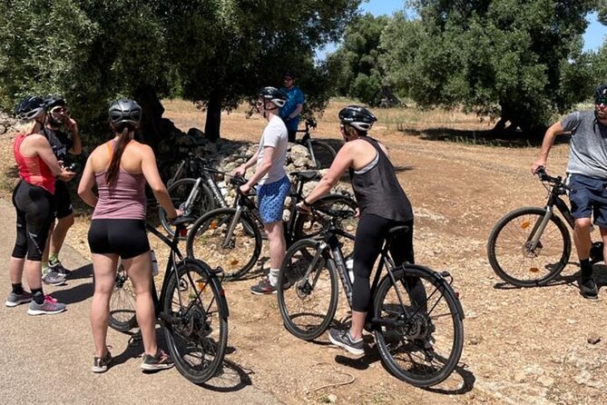 E-Bike, Focaccia and Wine - Almond cookies, fruit, and homemade rosolii