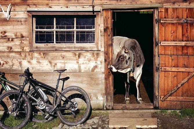 E-Bike Food and Wine Tour in the Sorrento Peninsula - Schiazzano and the Il Turuziello farm
