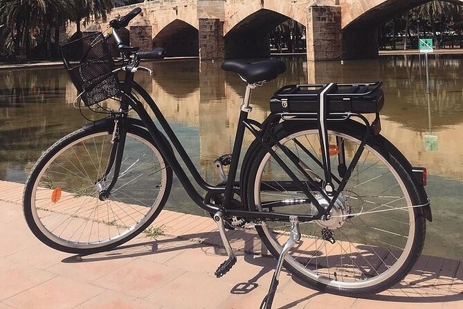 E-Bike Grand Valencia Private Tour - The City of Arts and Sciences changes the mood