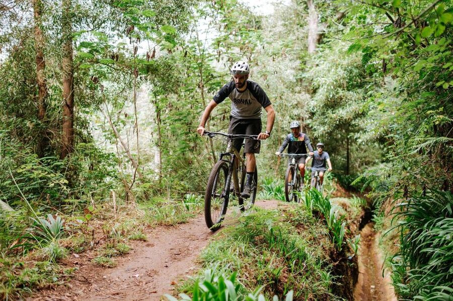 E-Bike Guided Tour - Mountain biking experience - What kind of ride is this?