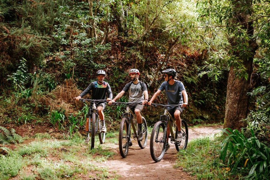 E-Bike Guided Tour - Mountain biking experience - Camacha and the high mountain start