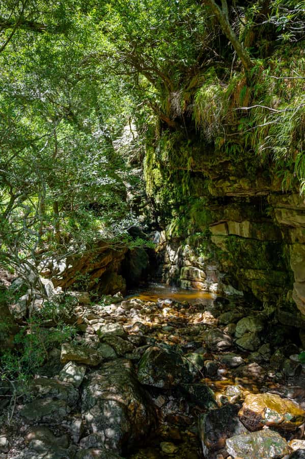 E-Bike & Hike Jonkershoek - What the $92 price includes