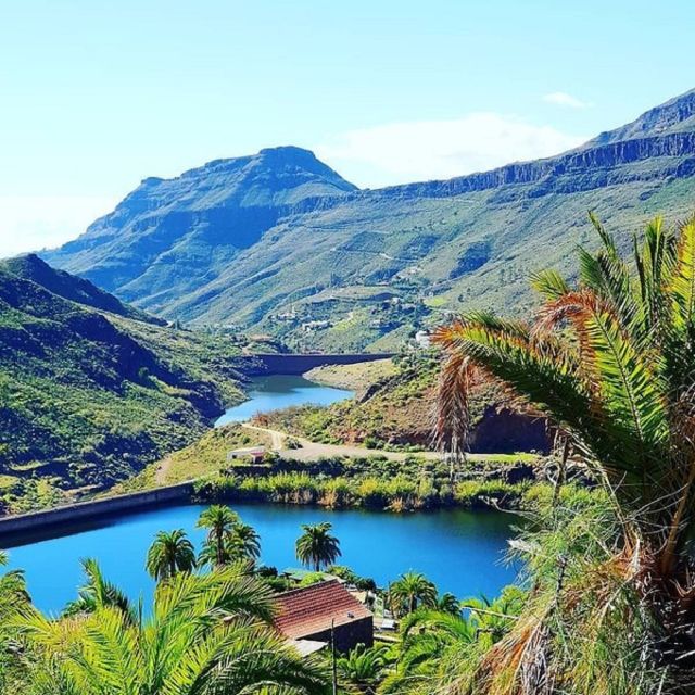 E-Bike Mountain Tour in Natural Park +Option Tapas in a Cave - Practical tips for a smoother outing