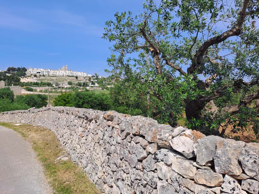 e-Bike ring tour between Martina Franca and Locorotondo - What the $55 price really covers