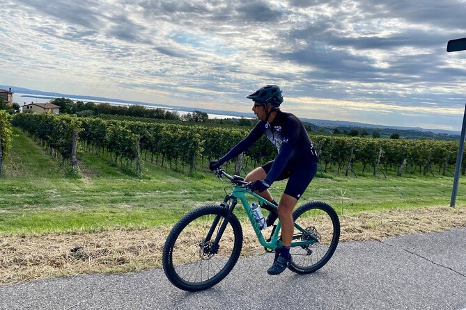 E-Bike tour and Wine tasting from Desenzano Inland - Key points to know before booking