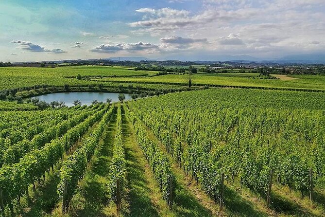 E-Bike tour and Wine tasting from Desenzano Inland - A short stop at Torre di San Martino