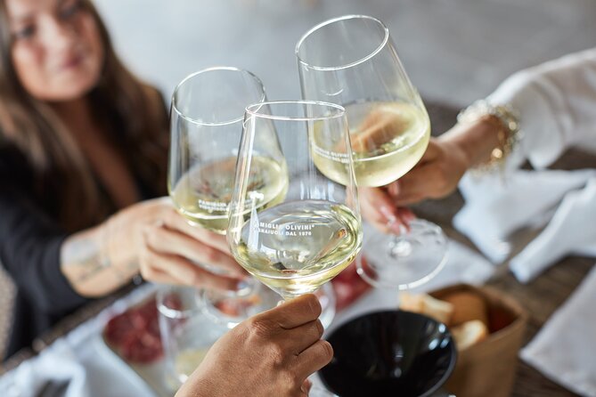 E-Bike tour and Wine tasting from Desenzano Inland - Timing, group size, and practical concerns
