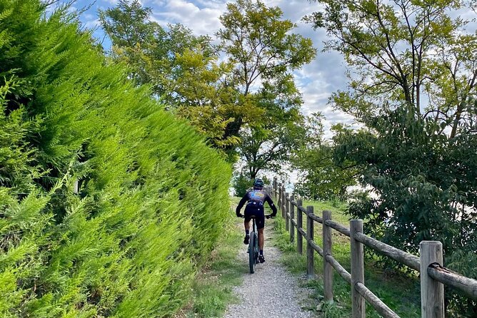 E-Bike tour and Wine tasting from Desenzano Inland - Who will enjoy this Lake Garda experience?