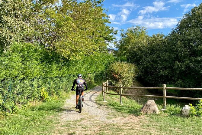 E-Bike tour and Wine tasting from Desenzano Inland - Riding between Desenzano and Sirmione