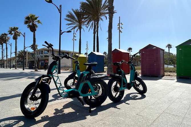 E-bike Tour: Beaches, & City of Arts and Sciences (From €30,00) - Price, group size, and overall value
