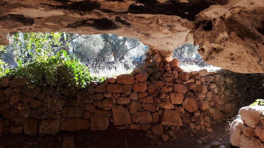 E-bike tour from Monopoli to the rocky village of St. Andrew - Who Will Enjoy This Tour Most