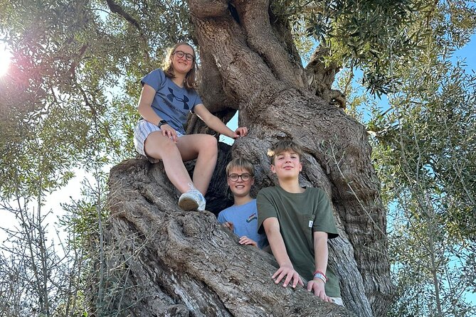 E-bike tour in Ostuni. Oil mill, Dolmen and huge olive trees - Why this ride works so well in rural Puglia