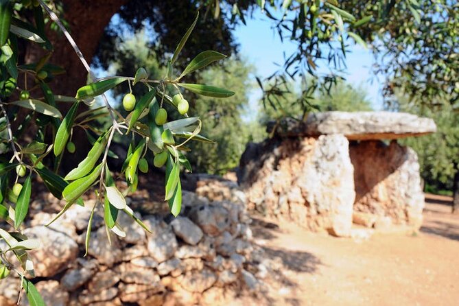 E-bike tour in Ostuni. Oil mill, Dolmen and huge olive trees - Riding through Parco Dune Costiere