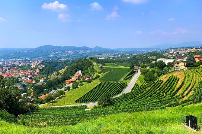 E-Bike Tour Lake Como and Swiss Vineyards - Moltrasio, a stone village above the water