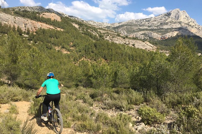 E-Bike tour of Sainte Victoire Mountain, Aix-en-Provence - Lavender Fields, Forest Trails, and Open Views