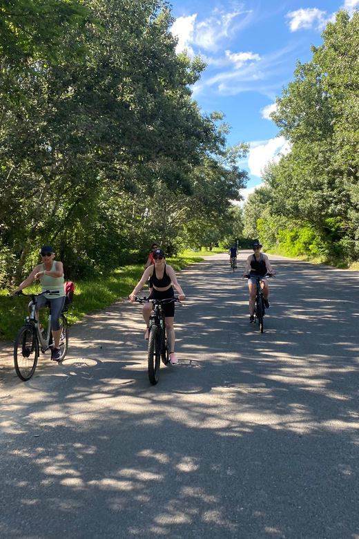 E-Bike Tour to Szentedre - Along the Danube toward Római Part