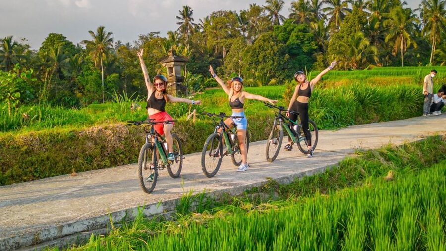 E-Bike: Ubud Rice Terraces & Traditional Villages Cycling - Key points before you book