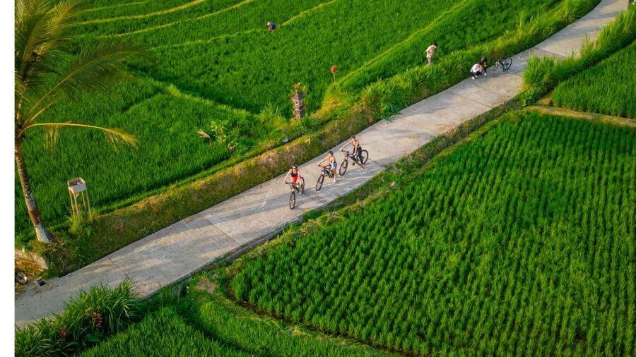 E-Bike: Ubud Rice Terraces & Traditional Villages Cycling - Who should book this ride?