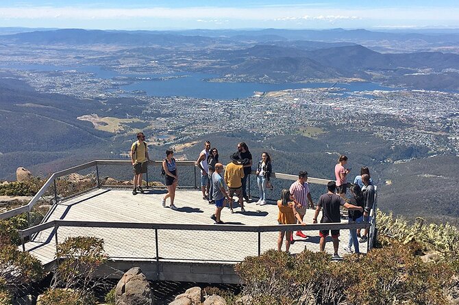 Easy Bike Tour - Mt Wellington Summit Descent & Rainforest Ride - Starting in South Hobart with a proper bike briefing