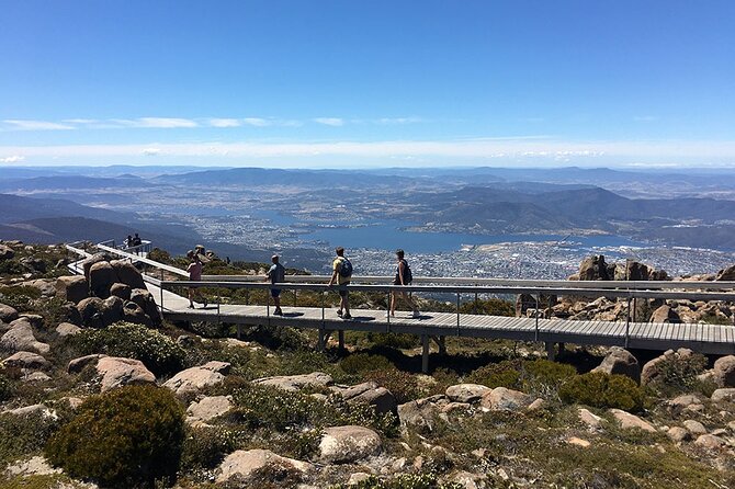 Easy Bike Tour - Mt Wellington Summit Descent & Rainforest Ride - A useful stop at Lost Freight Cafe