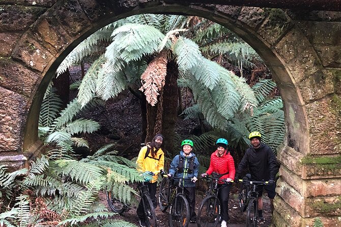 Easy Bike Tour - Mt Wellington Summit Descent & Rainforest Ride - What happens if the weather changes?