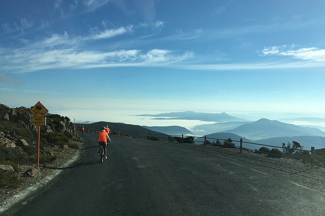 Easy Bike Tour - Mt Wellington Summit Descent & Rainforest Ride - Why the small group and support vehicle matter