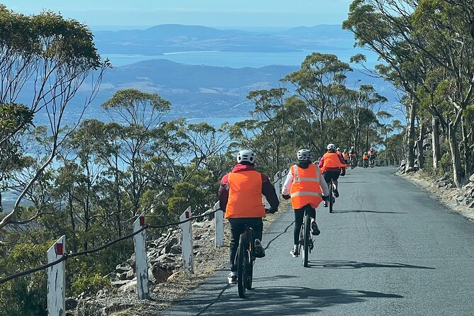 Easy Bike Tour - Mt Wellington Summit Descent & Rainforest Ride - Is $121.21 good value?