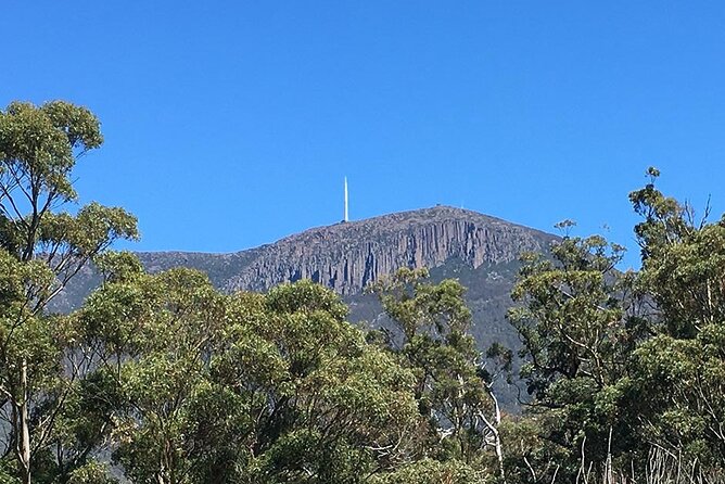 Easy Bike Tour - Mt Wellington Summit Descent & Rainforest Ride - The minibus climb to Mt Wellington’s summit
