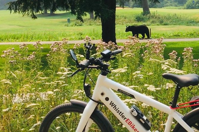 eBike Adventure in Whistler - Five useful things to know before you ride